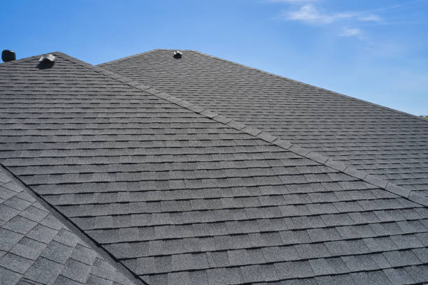 Best Roof Moss and Algae Removal  in Waycross, GA